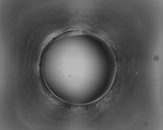 X0000094430340200711211438