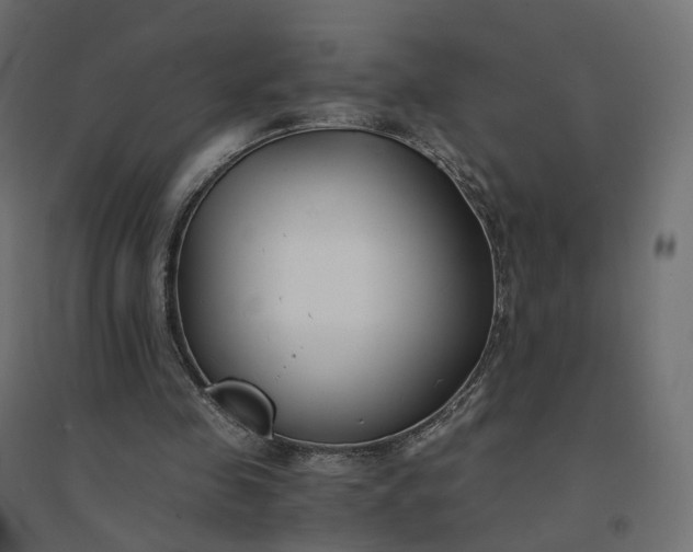 X0000094430341200711211438