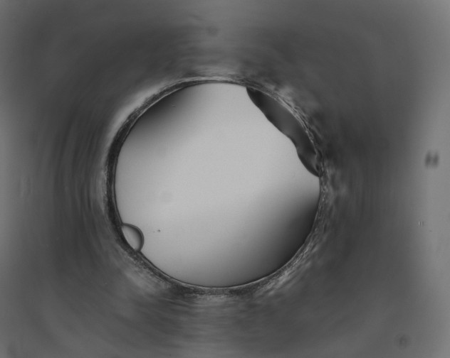 X0000094430342200711211438