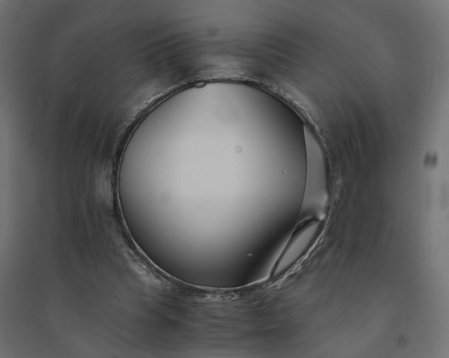 X0000094430345200711211438