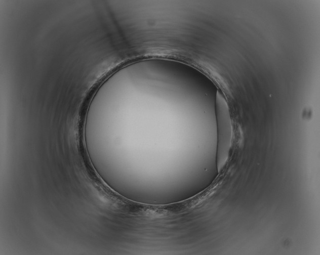 X0000094430346200711211438