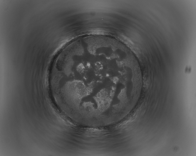 X0000094430347200711211438