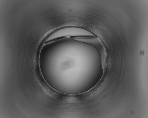X0000094430348200711211438
