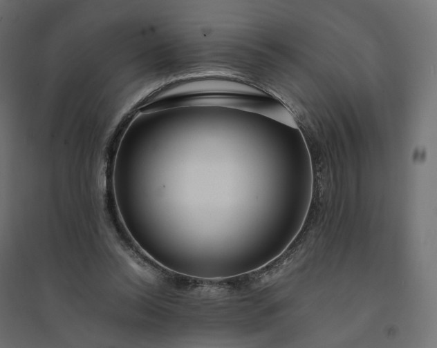 X0000094430350200711211438