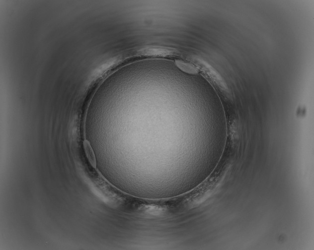 X0000094430352200711211438
