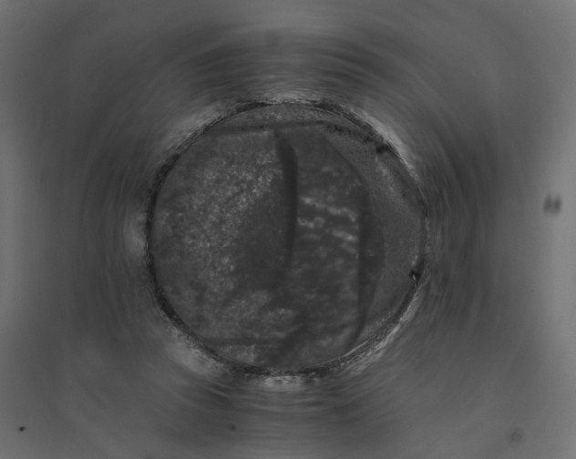 X0000094430353200711211438
