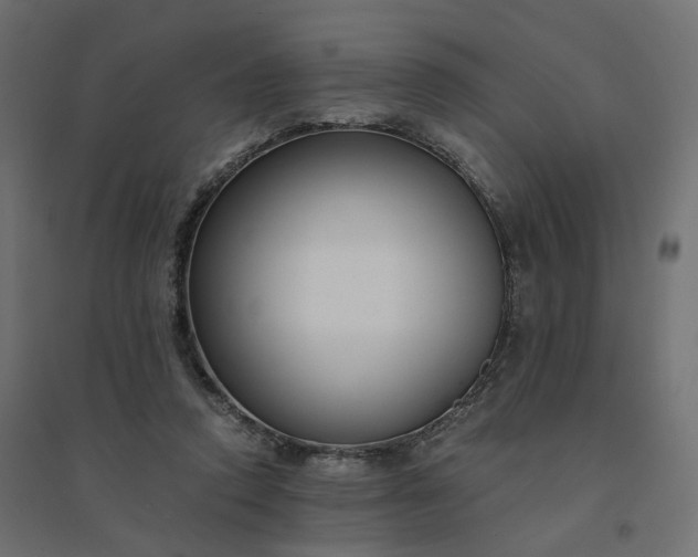 X0000094430354200711211438