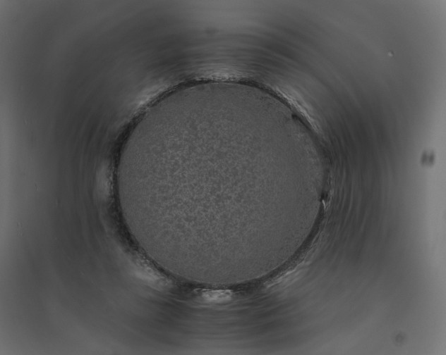 X0000094430355200711211438