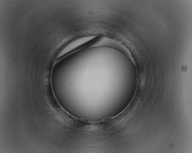 X0000094430356200711211438
