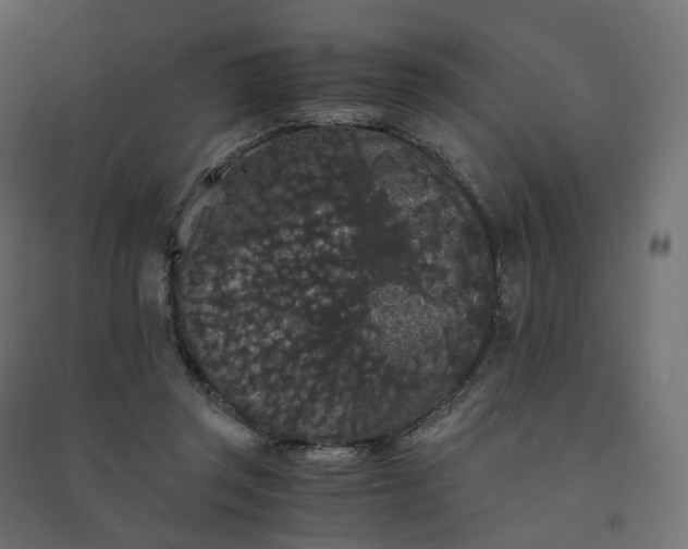 X0000094430357200711211438