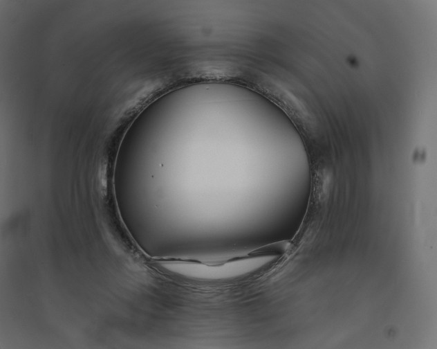 X0000094430358200711211438