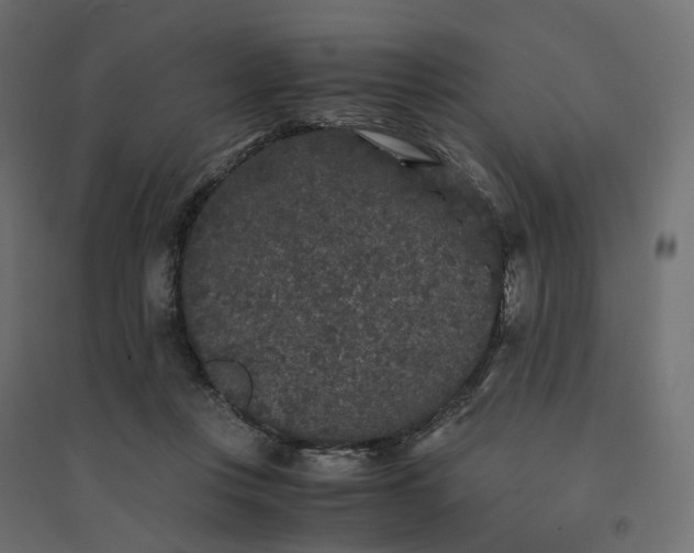 X0000094430359200711211438