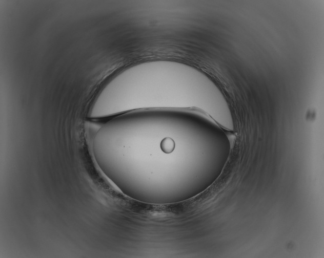 X0000094430360200711211438