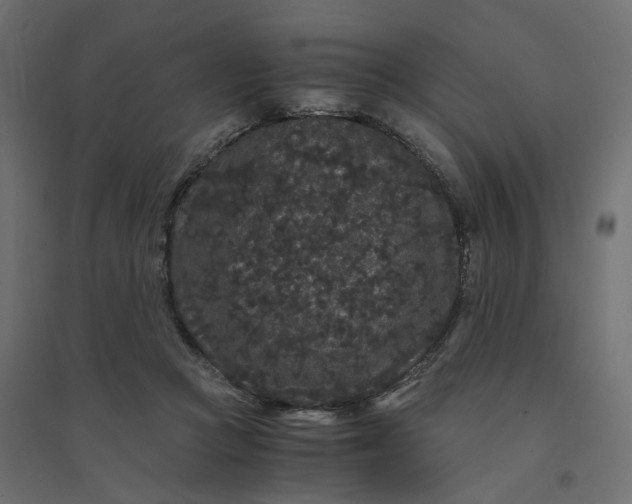 X0000094430361200711211438