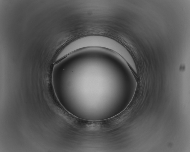 X0000094430362200711211438