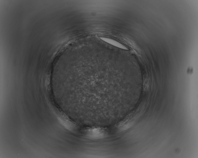 X0000094430365200711211438