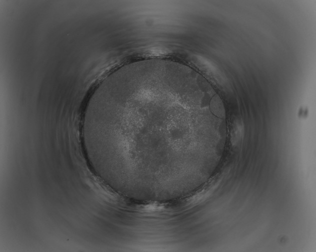 X0000094430366200711211438
