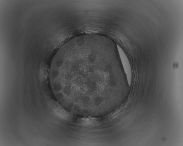 X0000094430367200711211438