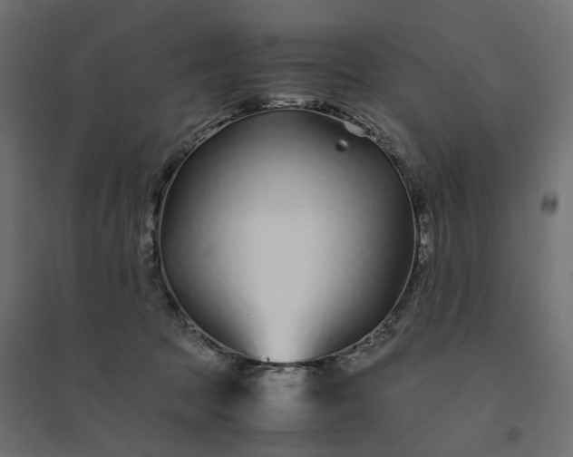 X0000094430369200711211438