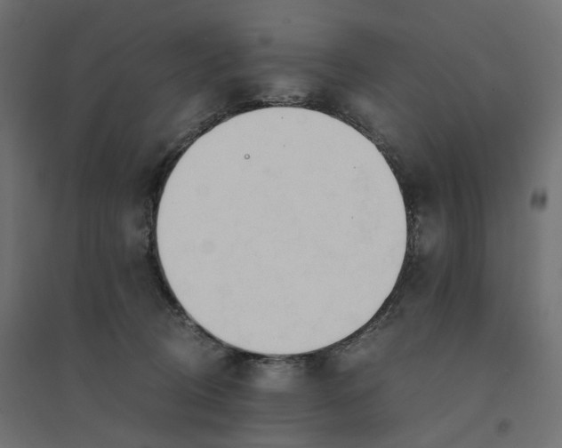 X0000094430370200711211438
