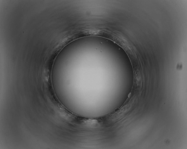 X0000094430374200711211438