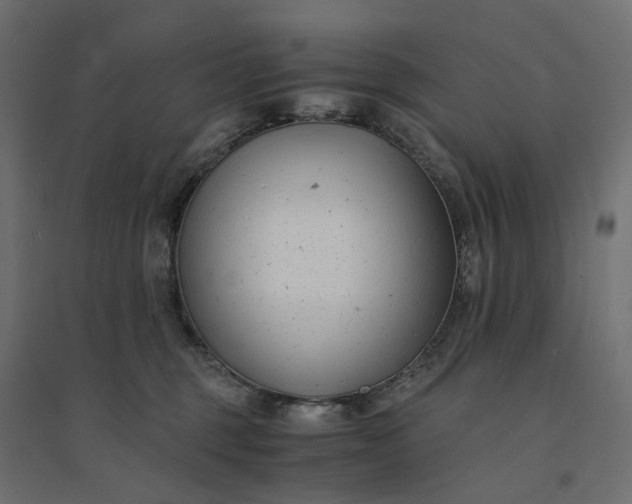 X0000094430375200711211438