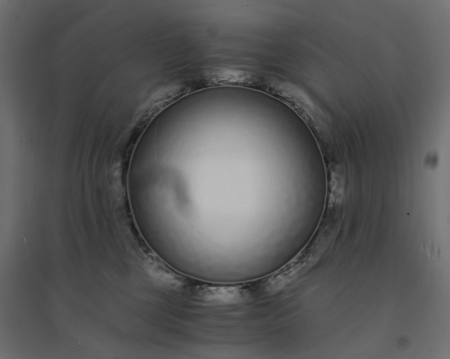 X0000094430377200711211438