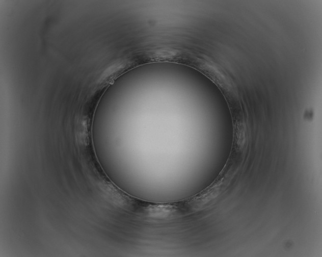 X0000094430378200711211438