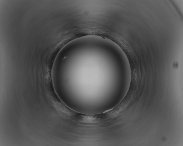 X0000094430380200711211438