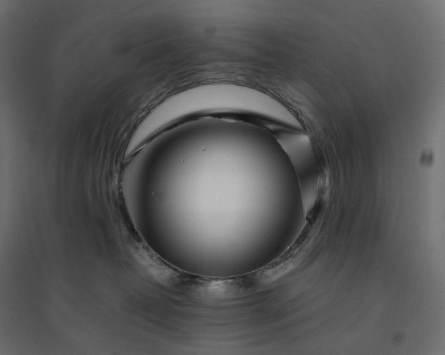 X0000094430382200711211438
