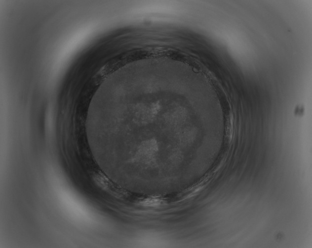 X0000094430383200711211438
