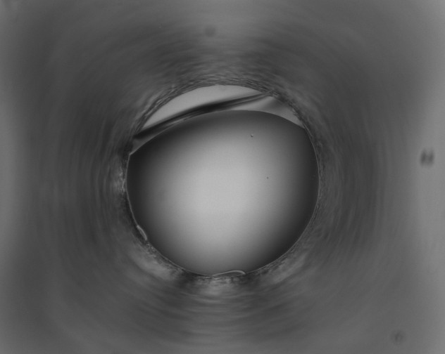 X0000094430384200711211438