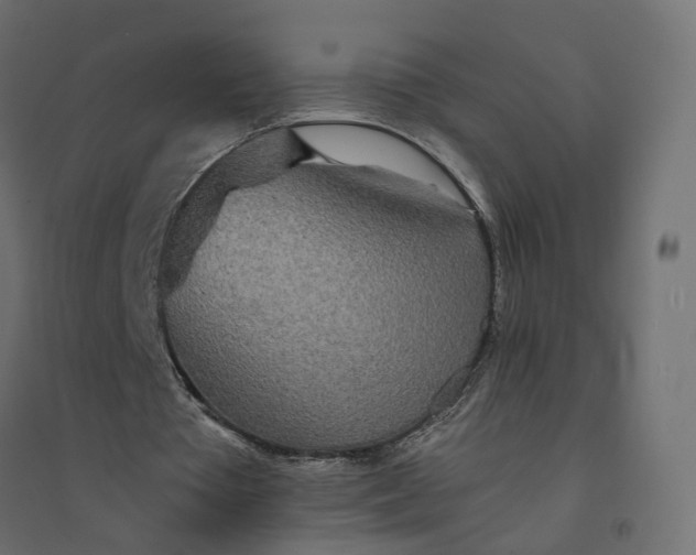 X0000094430385200711211438
