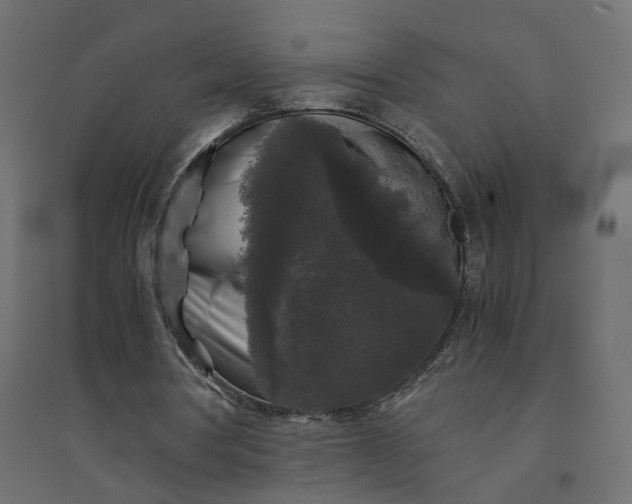 X0000094430386200711211438