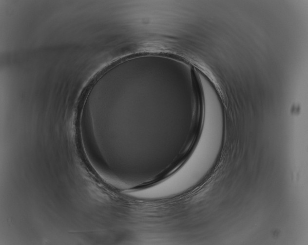 X0000094430387200711211438