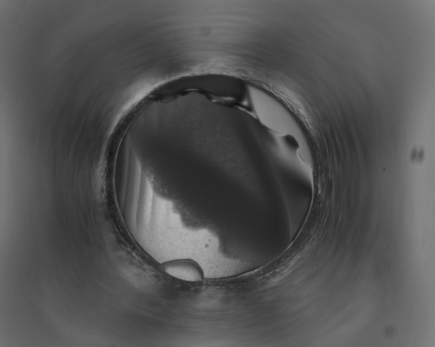 X0000094430388200711211438