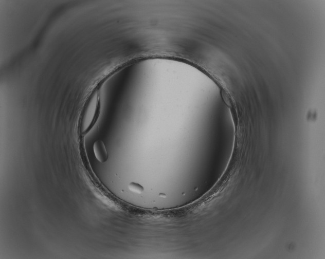 X0000094430389200711211438