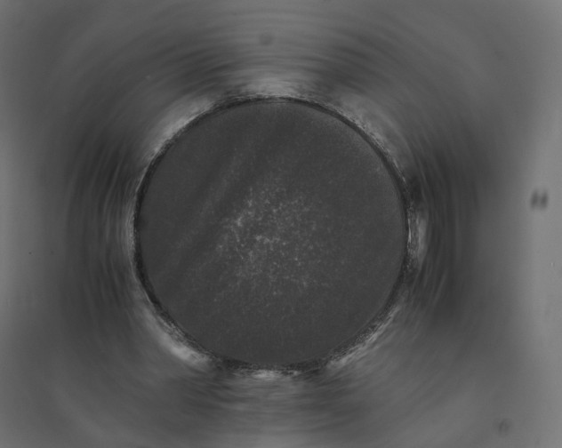 X0000094430390200711211438
