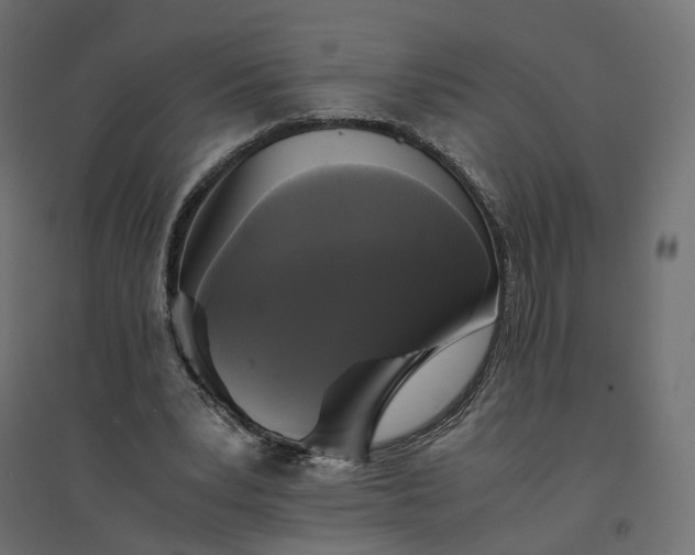 X0000094430391200711211438
