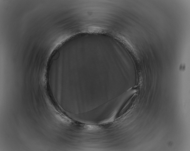 X0000094430392200711211438