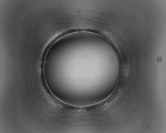 X0000094430395200711211437
