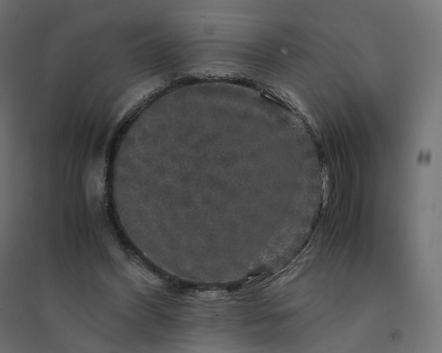 X0000094430396200711211437