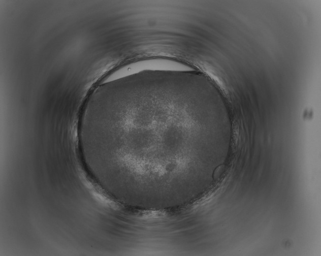 X0000094430398200711211437