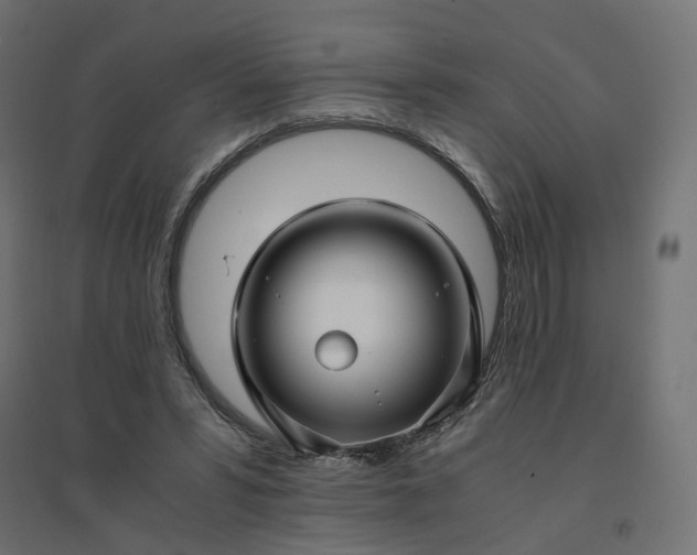 X0000094430399200711211437
