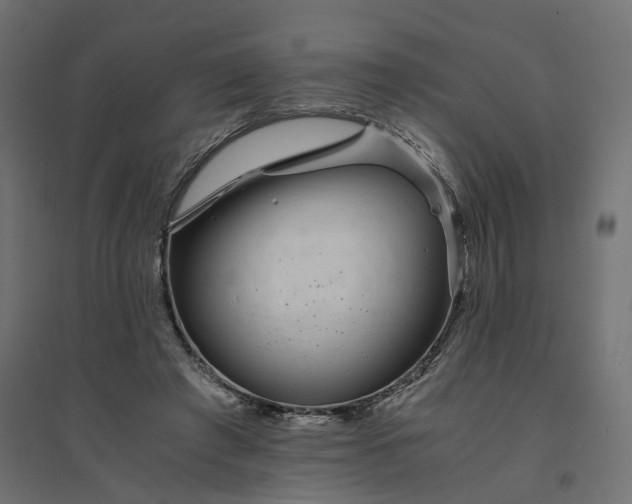 X0000094430401200711211437