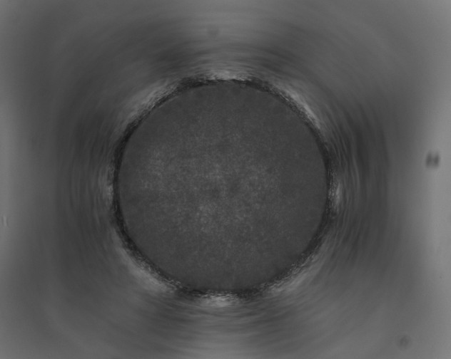 X0000094430402200711211437