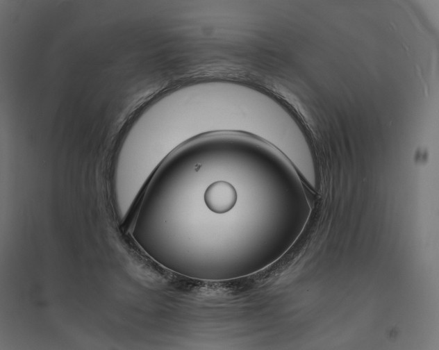 X0000094430403200711211437