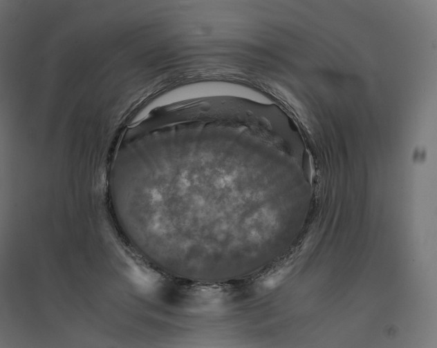 X0000094430405200711211437