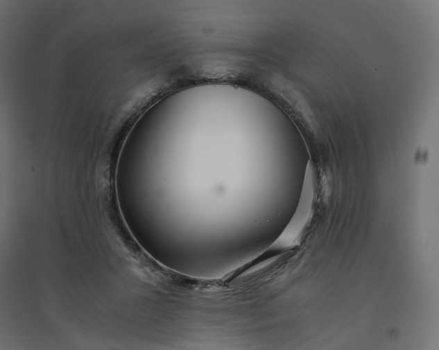 X0000094430407200711211437