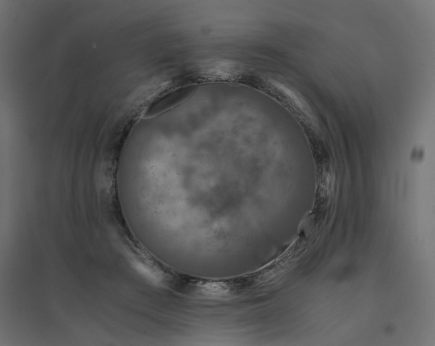 X0000094430409200711211437